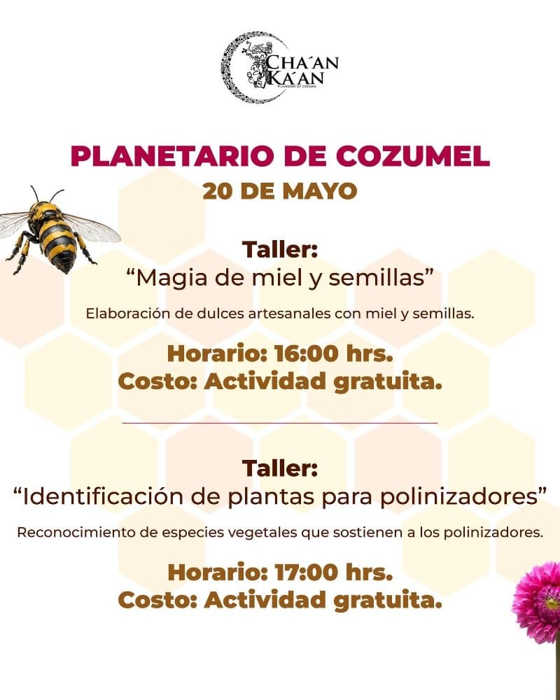 Taller: "Magia de miel y semilla" y "Identificación de plantas para polinizadores"