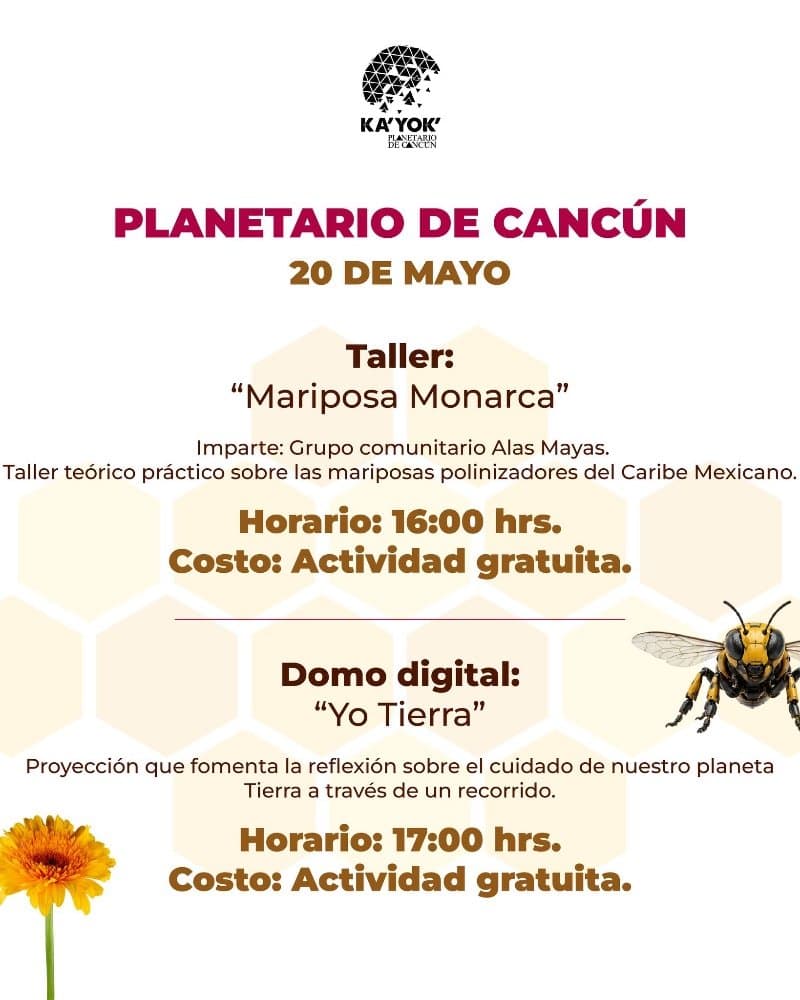 Día mundial de la abeja