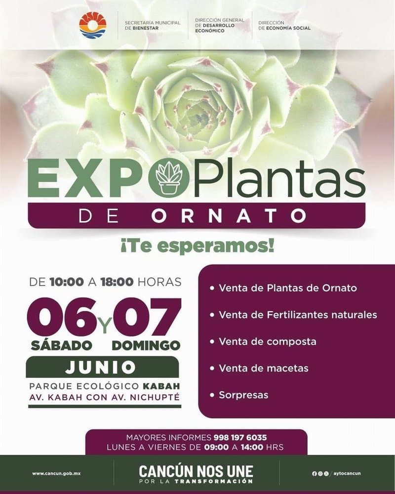 Expo Plantas de ornato